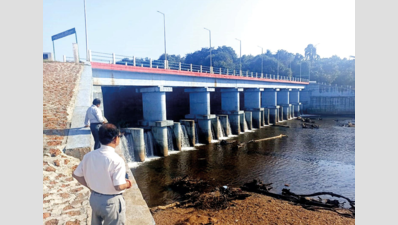 Opa rejuvenated after water released to check for crocs